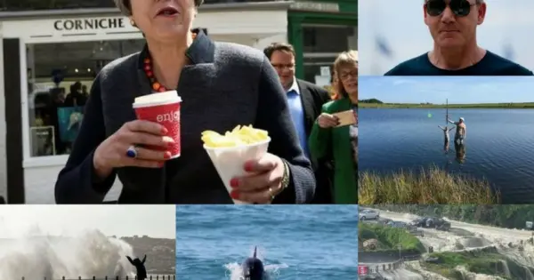 Latest Updates from Cornwall Live: A Community Perspective