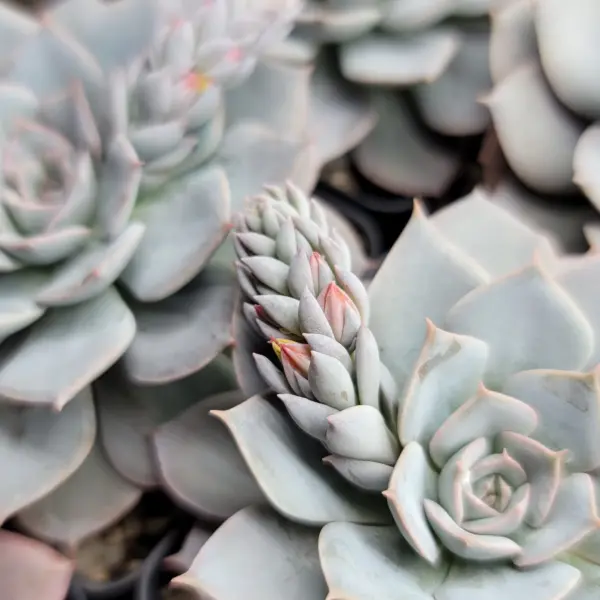 The Importance of Nursery Education for Young Children