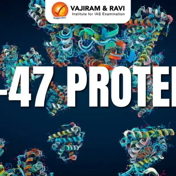 Understanding the Importance of Savings in Today’s Economy