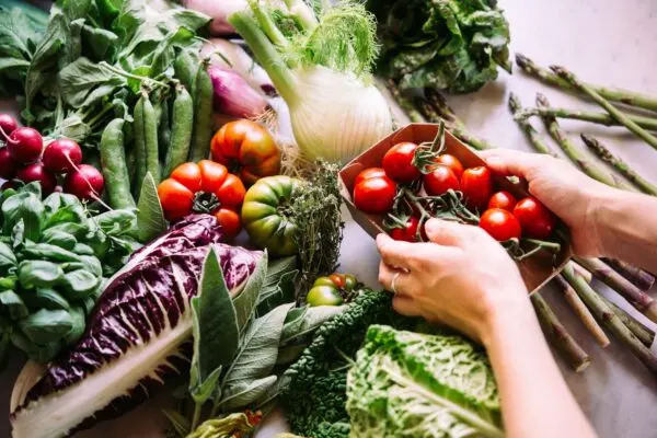 The Emergence and Impact of 1 Club in Football