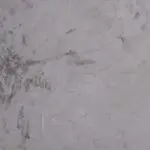 Understanding the Impact of ABC News in Modern Journalism