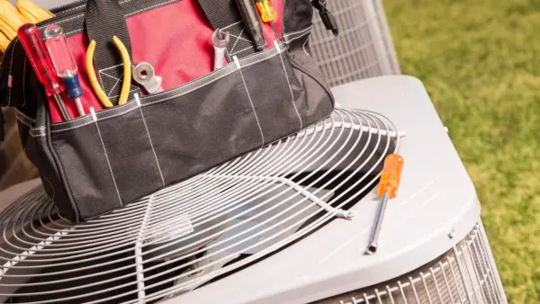 The Rise of Action Sports in 2023