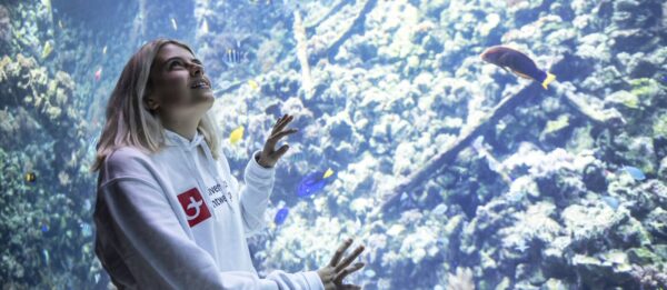 Exploring the Charms and Culture of Antwerp