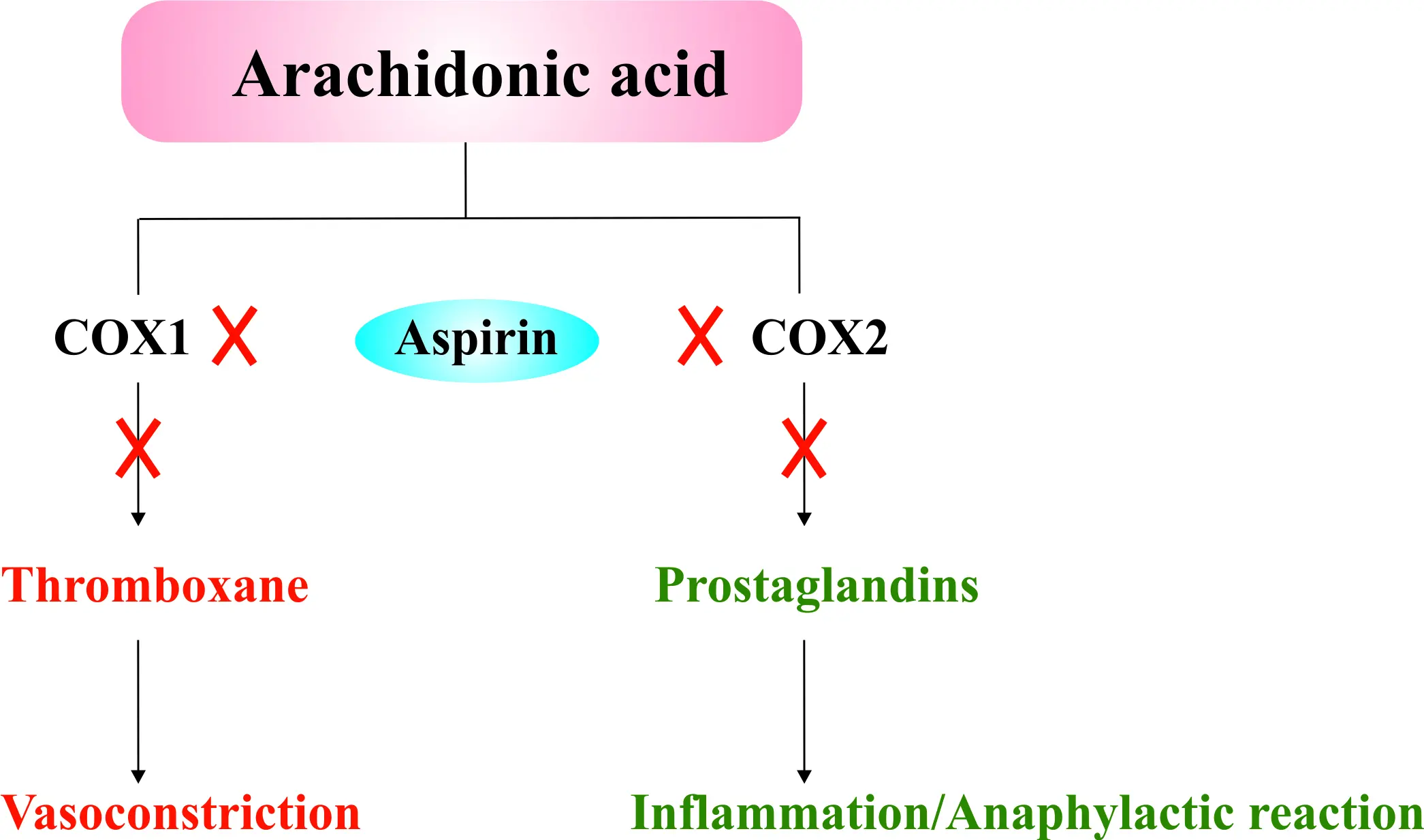 Aspirin: A Pill of Many Benefits