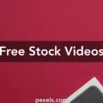 Overview of the 2024 Australian Open Tennis Championship