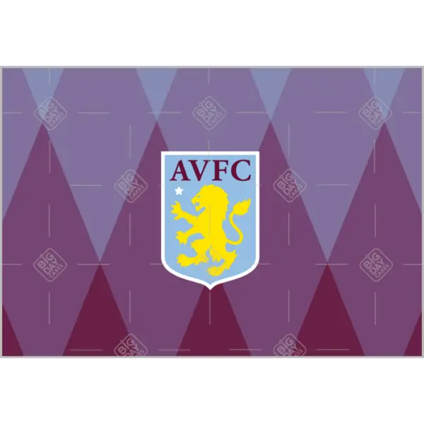 Aston Villa FC: Current Performance and Future Prospects