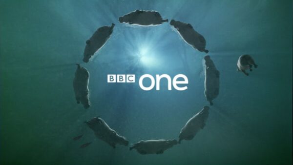 Comprehensive BBC One TV Guide for This Week