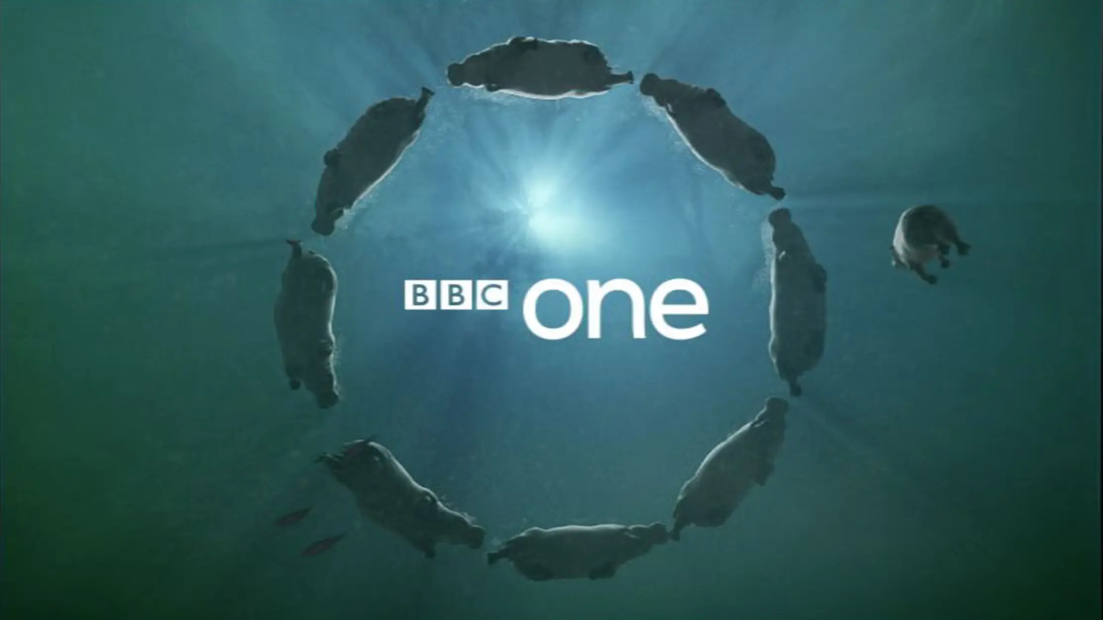 Comprehensive BBC One TV Guide for This Week