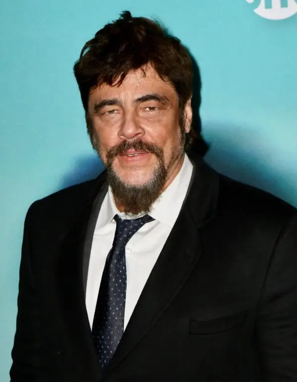 The Life and Career of Benicio Del Toro