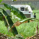 Exploring the Vibrant Nation of Benin