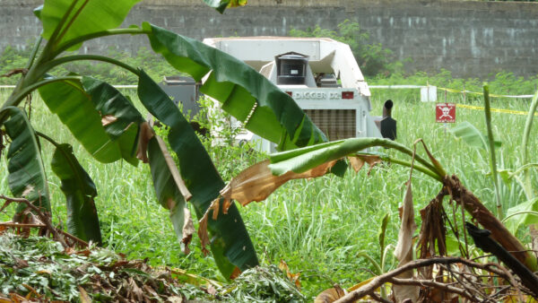 Exploring the Vibrant Nation of Benin