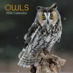 Birdwatch 2026: What to Expect for Bird Enthusiasts