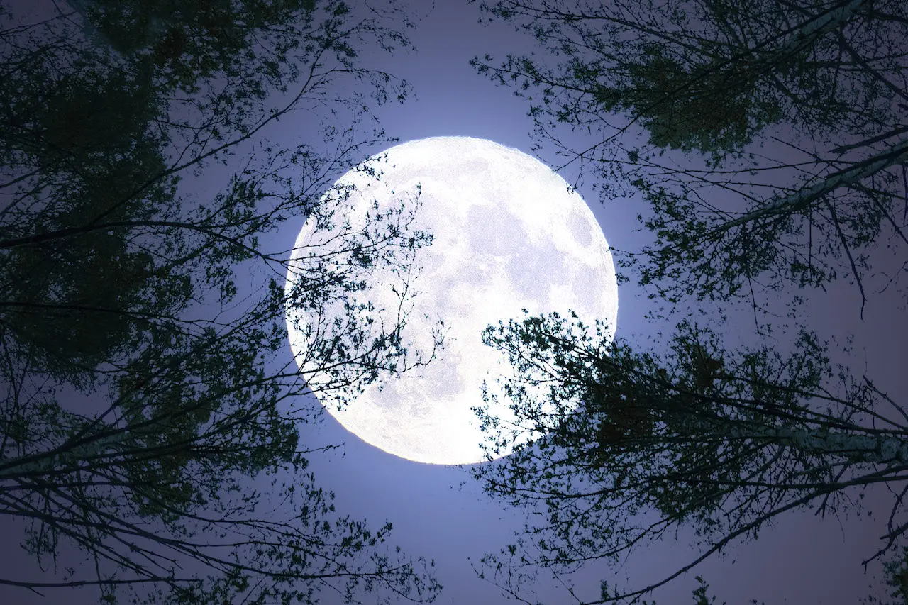 The Fascinating Phenomenon of the Blue Moon