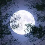 Understanding the Significance of the Blue Moon