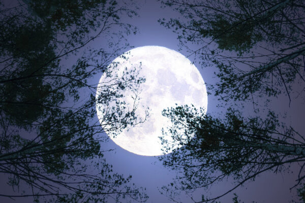 Understanding the Significance of the Blue Moon