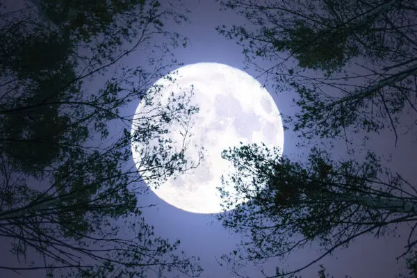 Understanding the Significance of the Blue Moon