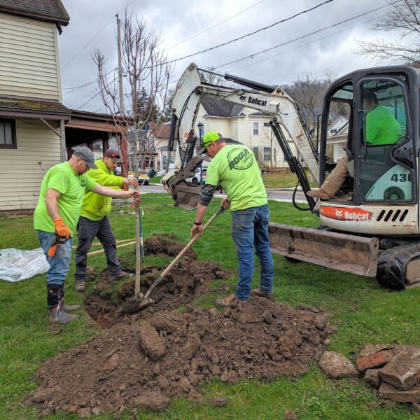 Current Weather Trends in Bradford
