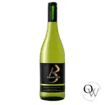 Brampton: A City Growing in Diversity and Development