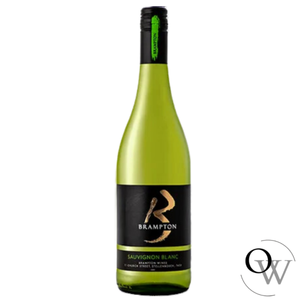 Brampton: A City Growing in Diversity and Development