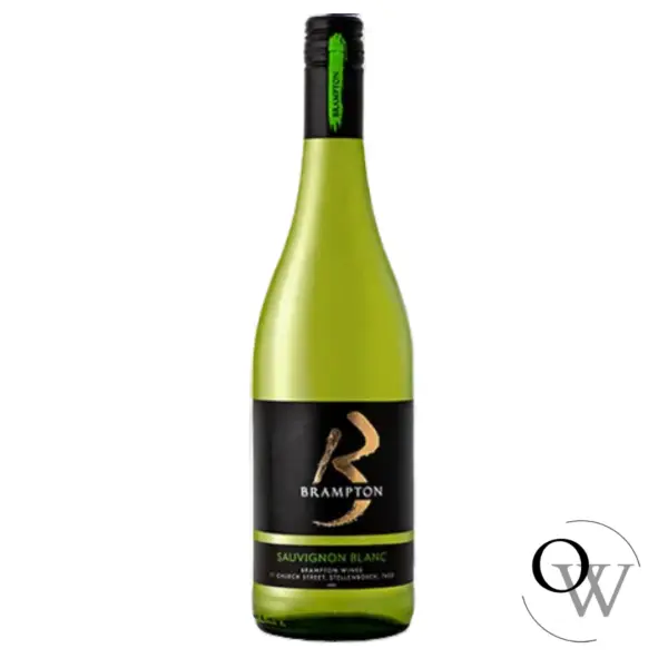 Brampton: A City Growing in Diversity and Development