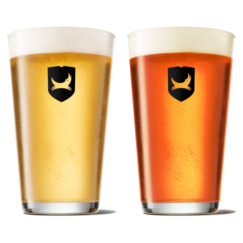 BrewDog: Leading the Craft Beer Revolution