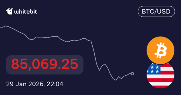 Understanding BTC USD: Trends and Insights