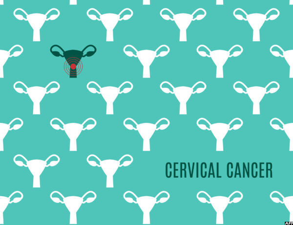 The Importance of Cancer Screening in Modern Healthcare