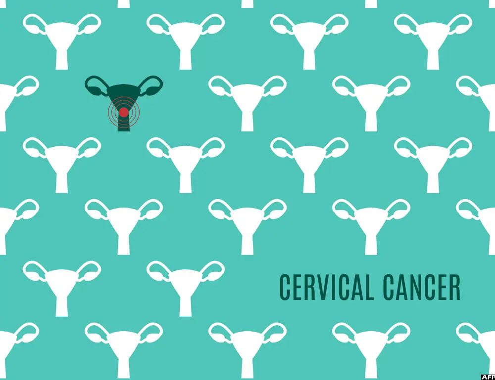 The Importance of Cancer Screening in Modern Healthcare