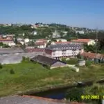 Understanding Child Development: Milestones and Challenges