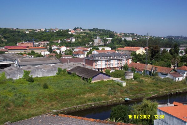 Understanding Child Development: Milestones and Challenges