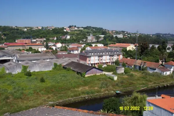 Understanding Child Development: Milestones and Challenges