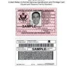 Understanding the Role and Current State of Congress