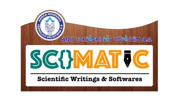 Understanding the Importance of Connections Hint