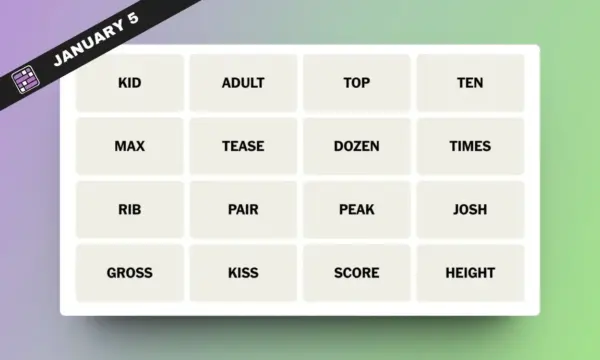 The Importance of Connections Hint in Relationships