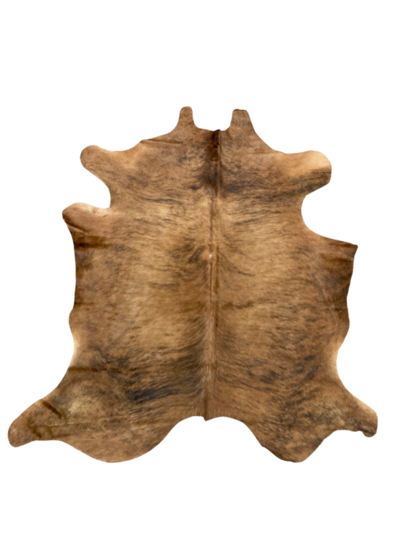 The Role of Cows in Agriculture and Sustainability