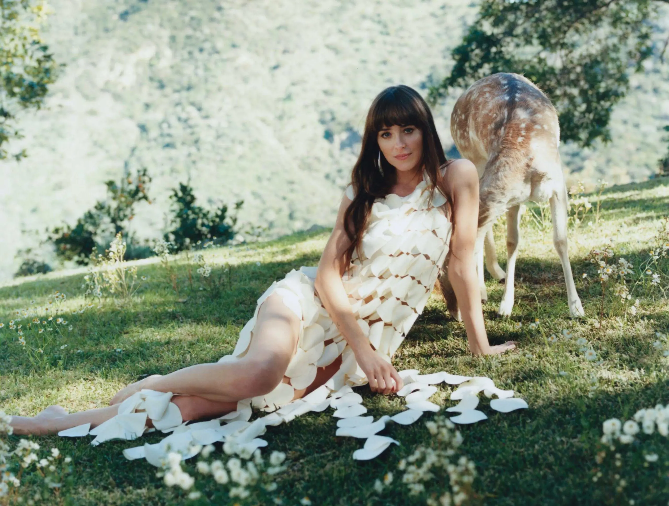 Dakota Johnson: A Glimpse into Her Rising Stardom