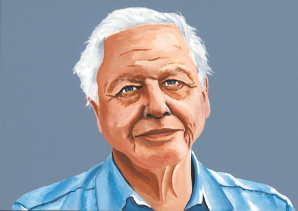 The Enduring Legacy of David Attenborough in Nature Broadcasting