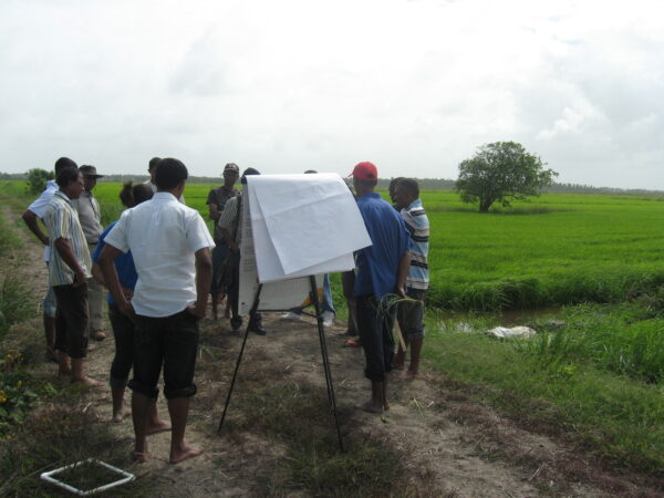 Understanding the Importance of Development in Today’s World