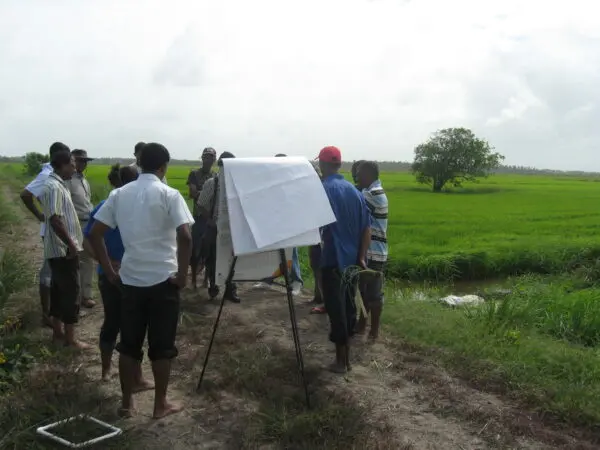 Understanding the Importance of Development in Today’s World