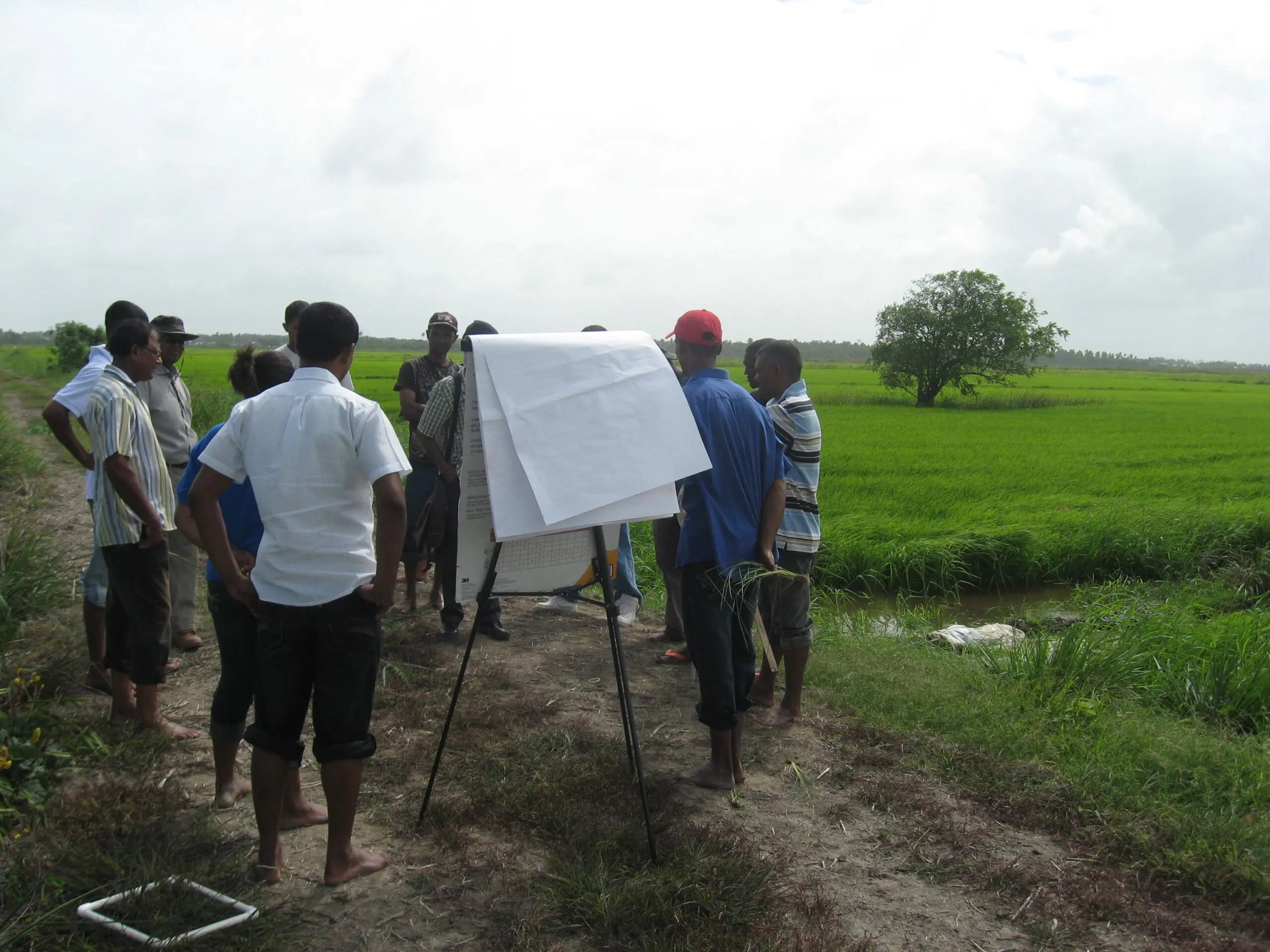 Understanding the Importance of Development in Today’s World