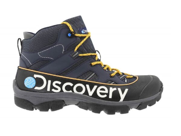 The Vital Role of Discovery in Today’s World