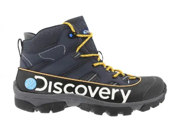 The Vital Role of Discovery in Today’s World