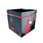 The Rise and Legacy of Dominick Cruz in the UFC