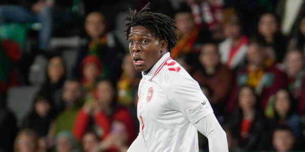 Everything You Need to Know About Dorgu