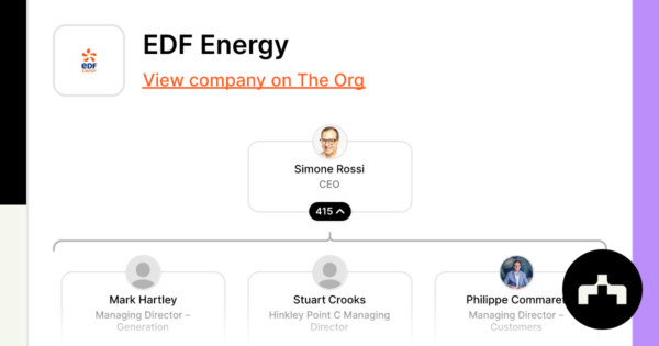 EDF Energy: Pioneering Sustainable Energy in the UK