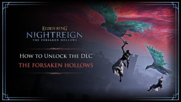 Elden Ring Nightreign DLC: What to Expect
