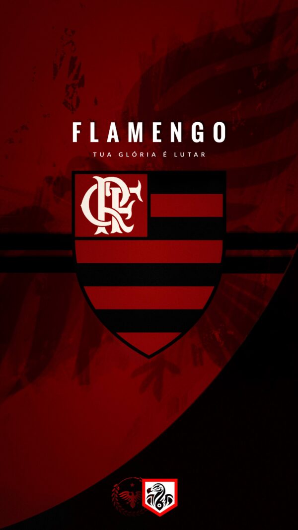 Flamengo: A Force in Brazilian Football