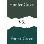 Forest Green vs Altrincham: Match Highlights and Key Moments