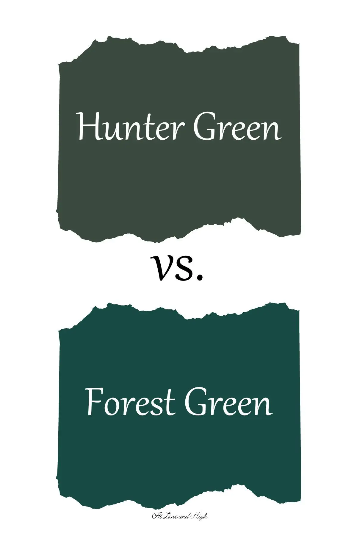 Forest Green vs Altrincham: Match Highlights and Key Moments