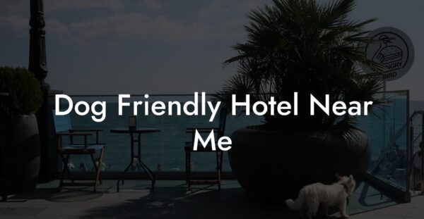 How to Find the Best Hotel Near Me
